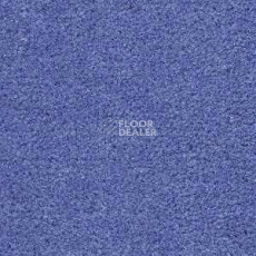 Ковролин Radici Montecarlo 30 фото 1 | FLOORDEALER