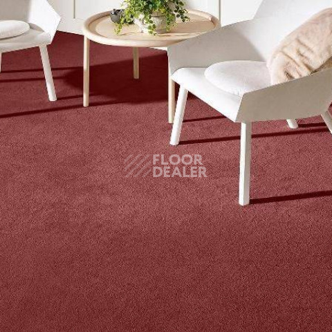 Ковролин Vorwerk Superior 1069/Hermelin Vorwerk 1n86 фото 1 | FLOORDEALER