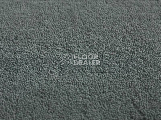Ковролин Jacaranda Carpets Heavy Velvet Beluga фото 1 | FLOORDEALER