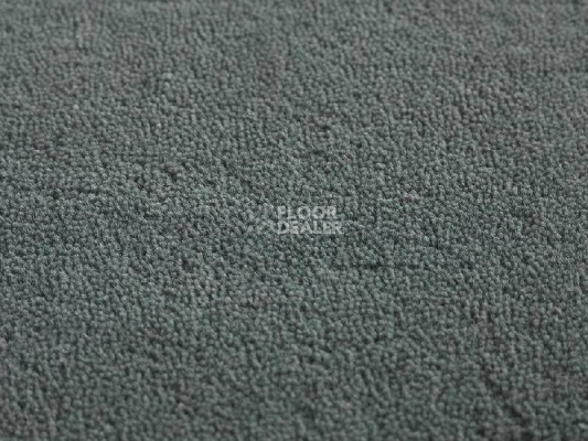 Ковролин Jacaranda Carpets Heavy Velvet Beluga фото 1 | FLOORDEALER