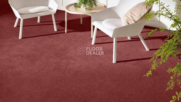 Ковролин Vorwerk Superior 1069/Hermelin Vorwerk 1n86 фото 1 | FLOORDEALER