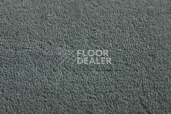 Ковролин Jacaranda Carpets Heavy Velvet Beluga фото 1 | FLOORDEALER