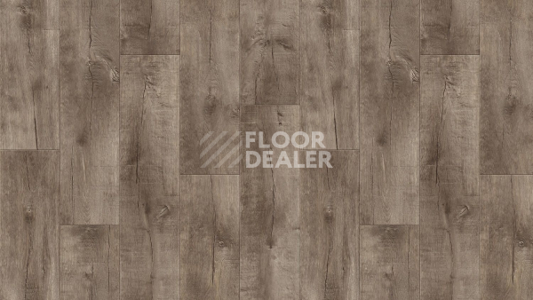 Линолеум Tarkett Idylle Nova Saratoga 7 фото 1 | FLOORDEALER