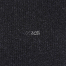 Ковролин Sintelon Ekvator 63753 фото 1 | FLOORDEALER
