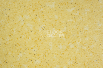 Линолеум Tarkett Acczent Pro Aspect 6 фото 1 | FLOORDEALER