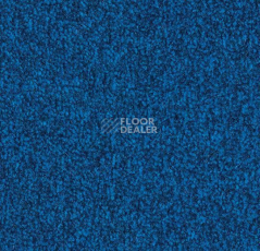 Грязезащитные покрытия Forbo Coral Marine FR 4222 Sydney Blue фото 1 | FLOORDEALER