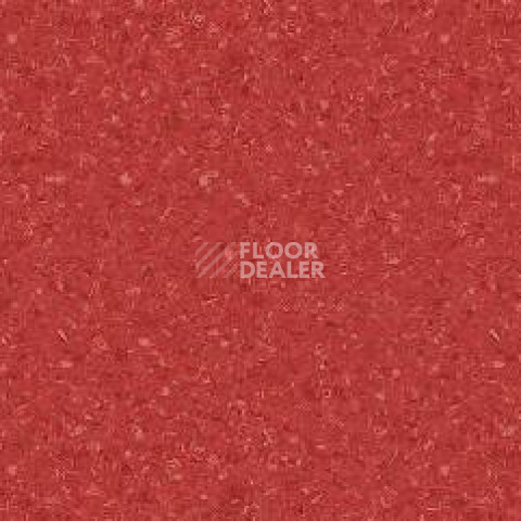 Линолеум Tarkett Tempo Plus 1010 фото 1 | FLOORDEALER