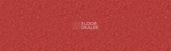 Линолеум Tarkett Tempo Plus 1010 фото 1 | FLOORDEALER