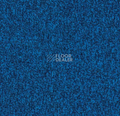 Грязезащитные покрытия Forbo Coral Marine FR 4222 Sydney Blue фото 1 | FLOORDEALER