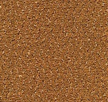 Ковролин Desso Champion 5412 фото 1 | FLOORDEALER