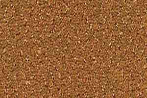 Ковролин Desso Champion 5412 фото  | FLOORDEALER