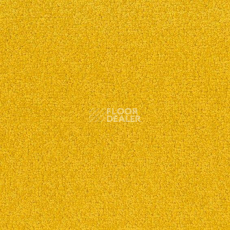 Ковровая плитка Desso Palatino 6208 фото 1 | FLOORDEALER