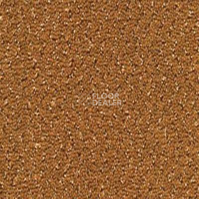 Ковролин Desso Champion 5412 фото 1 | FLOORDEALER