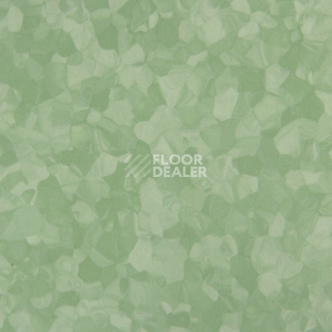Tarkett iq Melodia 2640 фото 3 | FLOORDEALER