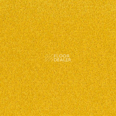 Ковровая плитка Desso Palatino 6208 фото 1 | FLOORDEALER