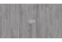 Kronotex Mammut Plus d3670 Дуб Макро Светло-серый фото 2 | FLOORDEALER