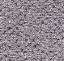 Ковролин Condor Carpets Argus 300 фото 1 | FLOORDEALER