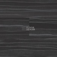 Линолеум Polyflor Expona Wood 6171 фото 1 | FLOORDEALER