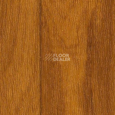 Линолеум Grabo SafeDecor 2519_371_752_228_2 фото 1 | FLOORDEALER