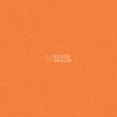 Линолеум Graboplast Stamina 3338_00_273 фото 1 | FLOORDEALER