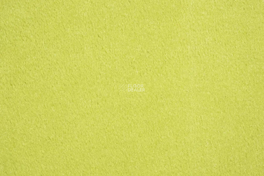 Vorwerk Passion 1000/Modena Vorwerk 4d61 фото 2 | FLOORDEALER