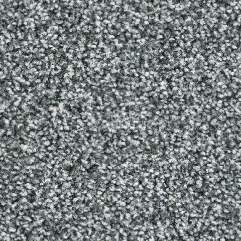 Ковролин Balsan Script 930 фото 1 | FLOORDEALER