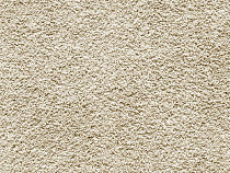 Balta Gracious Gracious 034 фото 1 | FLOORDEALER