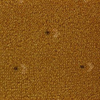 Ковролин Pullman Associated Weavers 54 фото 1 | FLOORDEALER