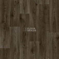 Линолеум Tarkett Absolut HELFORD 5 фото 1 | FLOORDEALER