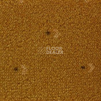 Ковролин Pullman Associated Weavers 54 фото 1 | FLOORDEALER