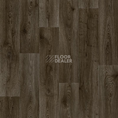 Линолеум Tarkett Absolut HELFORD 5 фото 1 | FLOORDEALER