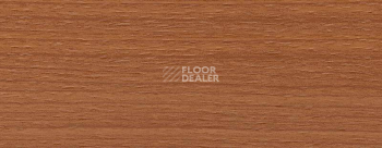 Плинтус Dollken EP 60/13 2569 фото 2 | FLOORDEALER