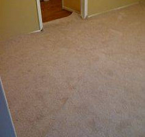 Runner Beaulieu of America