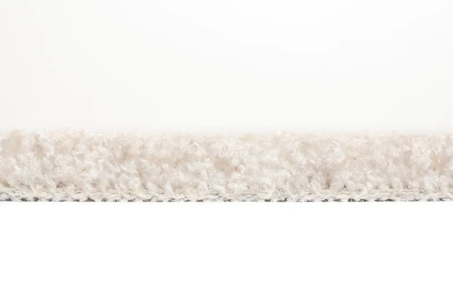 Vorwerk Exclusive1009/Elara 6c59 фото 4 | FLOORDEALER