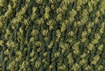 Galaxy F 071 фото 4 | FLOORDEALER