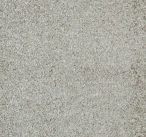 Ковролин ITC Carpe Diem Carpe Diem 049 фото 1 | FLOORDEALER