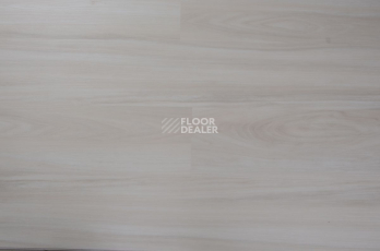 Evofloor Optima Click 4.2мм Дуб Айвори фото 4 | FLOORDEALER