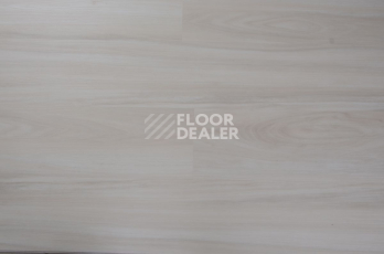 Evofloor Optima Click 4.2мм Дуб Айвори фото 4 | FLOORDEALER