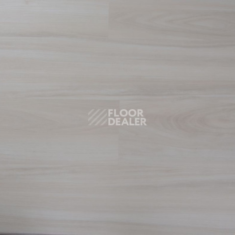 Evofloor Optima Click 4.2мм Дуб Айвори фото 4 | FLOORDEALER