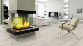 Kronotex Exquisit Plus d4787 Дуб Гала Белый фото 3 | FLOORDEALER