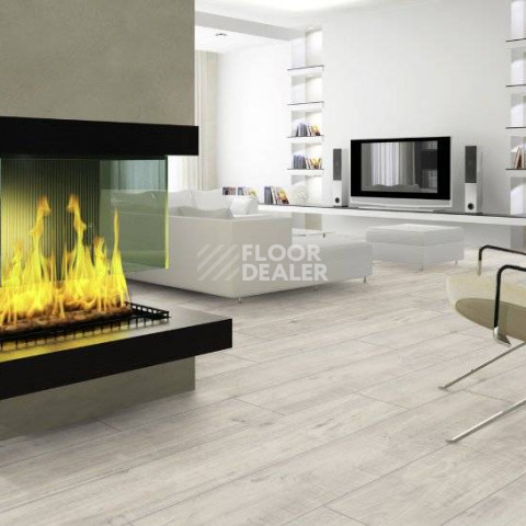 Kronotex Exquisit Plus d4787 Дуб Гала Белый фото 3 | FLOORDEALER