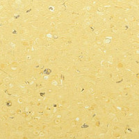 Линолеум Apoluza Tangyun 1008 фото 1 | FLOORDEALER