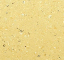 Линолеум Apoluza Tangyun 1008 фото 1 | FLOORDEALER