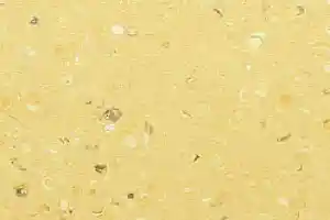 Линолеум Apoluza Tangyun 1008 фото  | FLOORDEALER