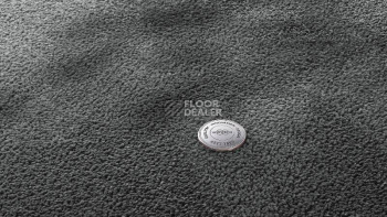 Ковролин Vorwerk Superior 1067 Mira Vorwerk 5y01 фото 1 | FLOORDEALER