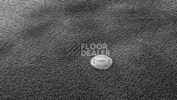 Ковролин Vorwerk Superior 1067 Mira Vorwerk 5y01 фото 1 | FLOORDEALER