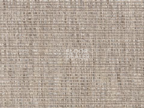 Ковролин Betula Betula 6335 78 фото 1 | FLOORDEALER