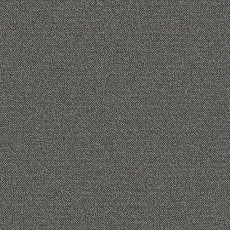 Ковролин Big Caractere 166 фото 1 | FLOORDEALER