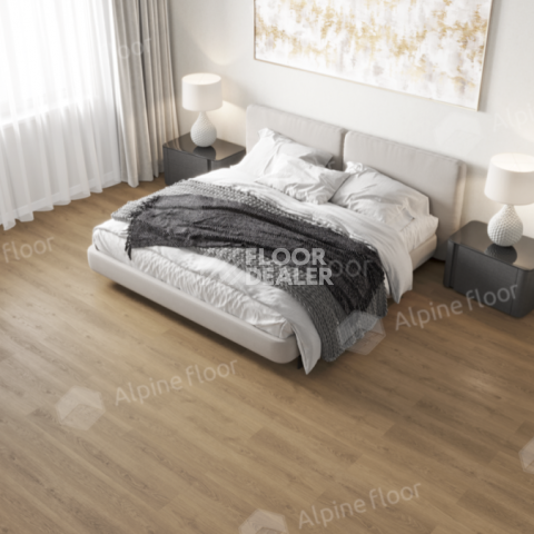 Alpine Floor Solo Plus 4мм Дуб Аллегро ECO14-101 фото 2 | FLOORDEALER