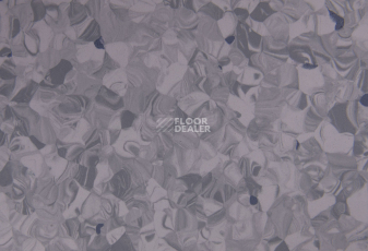 Tarkett Primo Plus 308 фото 2 | FLOORDEALER